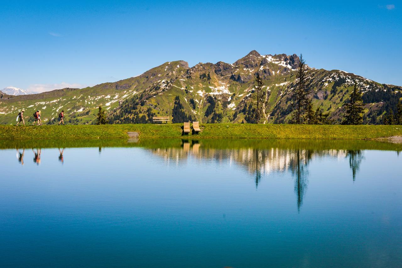 Apartamento Bergparadies Appart Stubnerkogel Dorfgastein Exterior foto